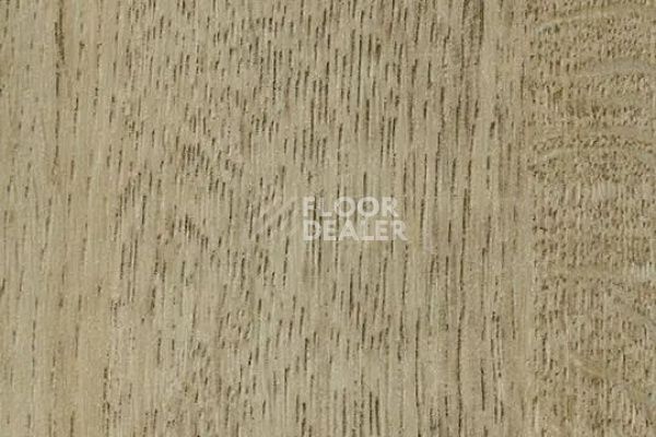 Виниловая плитка ПВХ FORBO Effekta Intense 41035 P Golden Harvest Oak INT фото 1 | FLOORDEALER